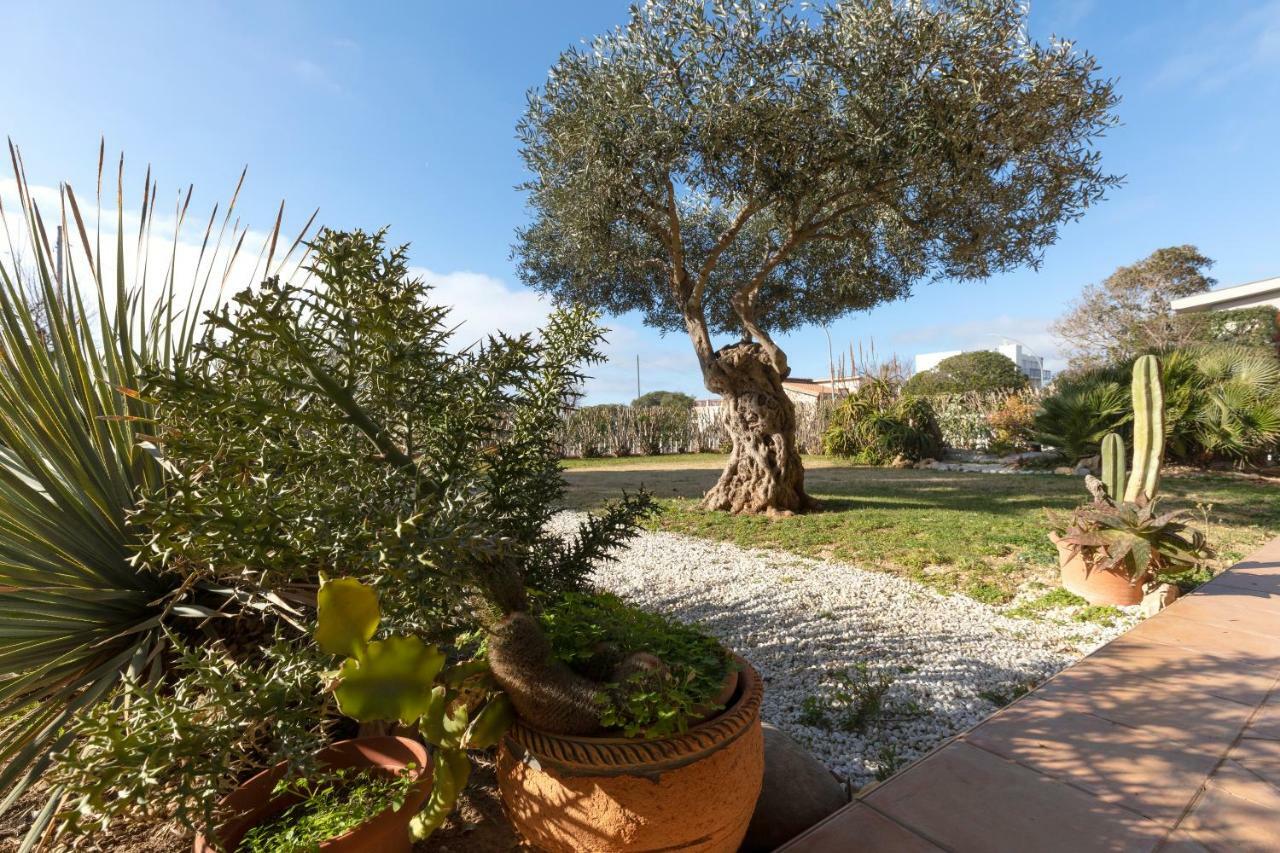 Villa Arrecifes Фертилия Экстерьер фото